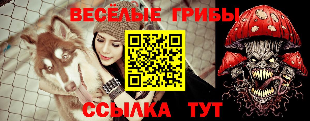 Карпинск  Псилоцибиновые грибы Psilocybine cubensis  Вход с VPN 